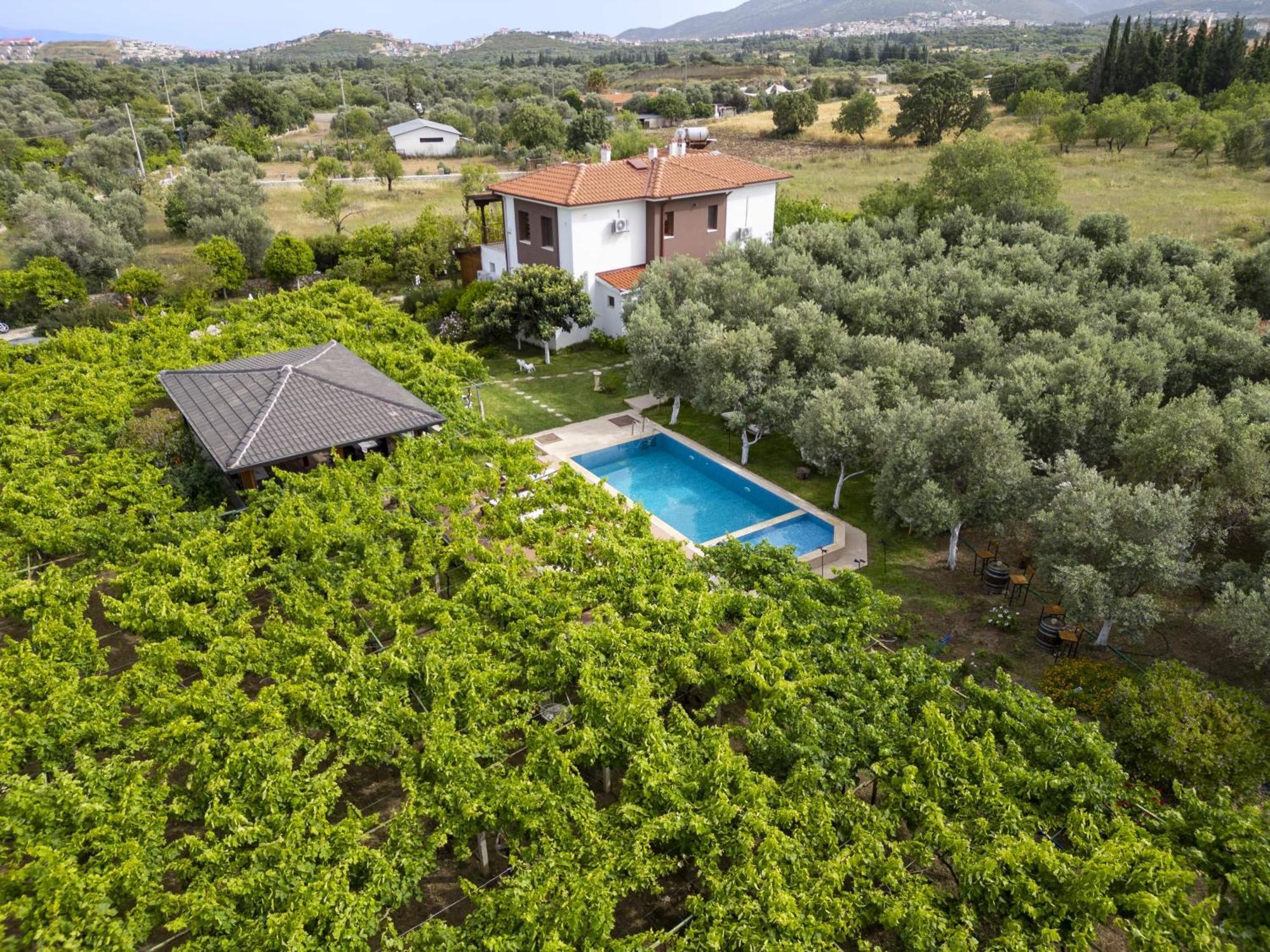 Grape Datca Hotel Kizlan Exterior photo
